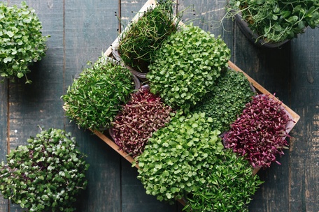 Заключение